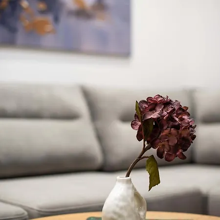 Super Center Apartment *